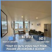 Appt 3Pièces centre ville Biscarrosse