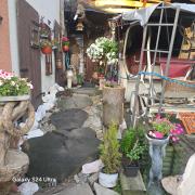 Apollo pokój 4 osobowy Szklary-Huta26 Apollo pokój 4 osobowy Szklary-Huta26