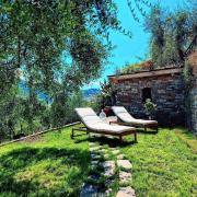 Almarea, a house between the sea and olive trees