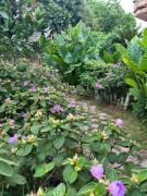 Top Nguyên Ngoại Top Nguyên Ngoại