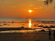 Desaland Tunas Hijau