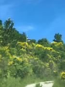 Top La Motte-Chalançon