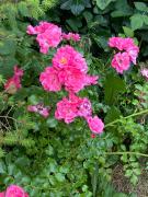 Top Fai della Paganella