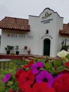 Top Debina Top Debina