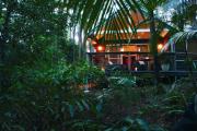 Top Mount Tamborine