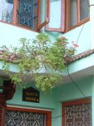 Top Patan