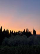 Top Sasso Pisano Top Sasso Pisano