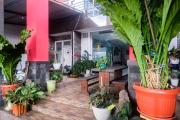RedDoorz near Batik Tulis Celaket 2