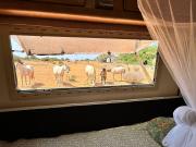 Top Barão de São João