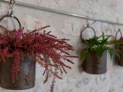 Top Arpaillargues-et-Aureillac