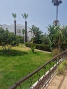 Top Tanger