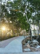 Top Playa del Carmen