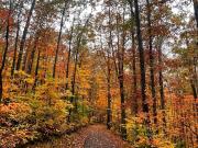 Top Fort Payne