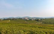 Top Castagnole Monferrato