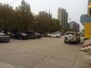 Top Xinan