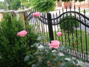 Top Hajdúszoboszló