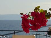 Top Ohrid