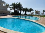 Roses Holiday Center 2408