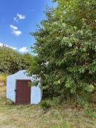 Top Wola Uhruska Top Wola Uhruska