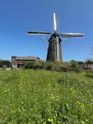 Daar bij die Kempermolen