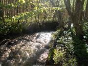 Top Sîmbăta de Sus Top Sîmbăta de Sus