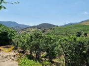Maison F2 indépendante avec terrasse, climatisation et WIFI à Banyuls-sur-Mer - FR-1-309-262