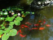 Top Balatonföldvár