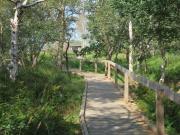 Ferienhaus Wattmöwe