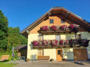 Top Faistenau