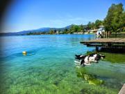 Appartements Allmaier