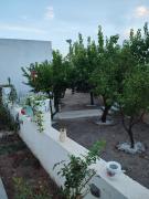 Top Marittima