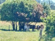 Top Malé Svatoňovice