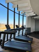 Explore Ellipse - Emerald Studio