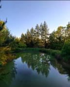Top Mystków