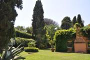 Top Rome