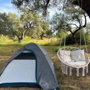 Camping Qeparo