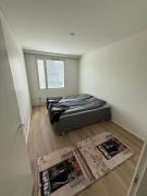 Saimaa Glow Apartment