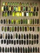 Top La Celle-sous-Gouzon