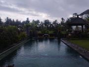 Top Ubud