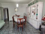 Top Torregrossa