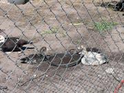 Top Wroceń Top Wroceń