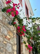 Top Skiathos Town