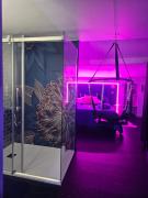 Top Saint-Féliu-dʼAvall