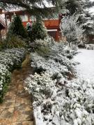 Ashram Asociación Argentina de Yoga