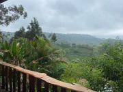 Top Dulce Nombre