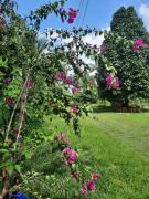 Eco Hotel Mãe De Sagui