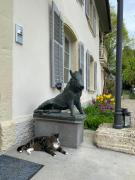 Top Porrentruy Top Porrentruy