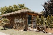 Top Struga