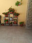 Top Star Dojran