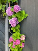 Top Villeneuve-Loubet